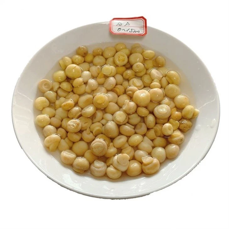 Whole champignon in salted water in drums