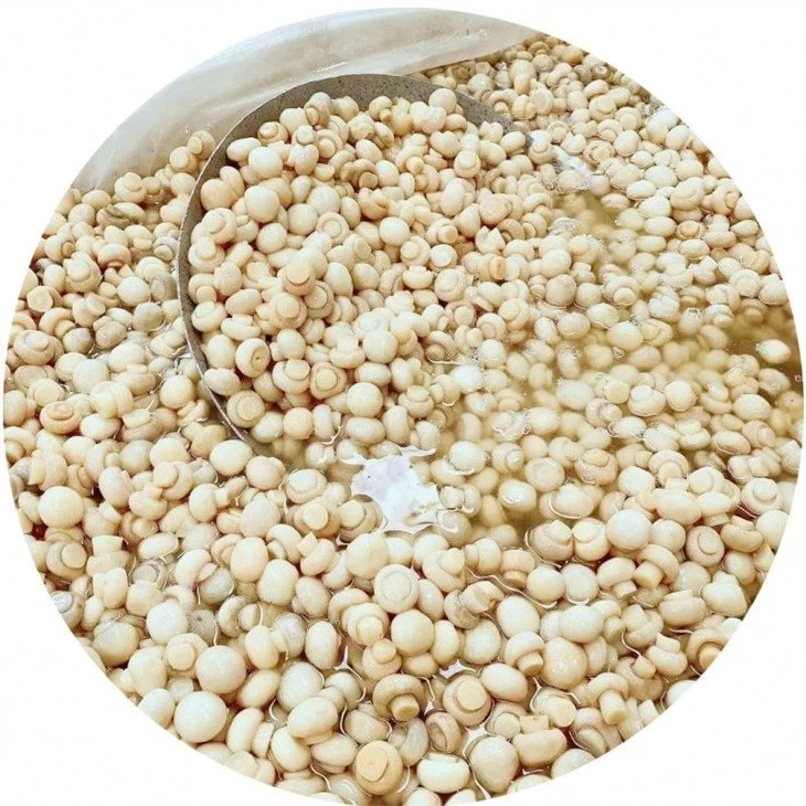 best whole white mushroom in salted water in plastic drums
