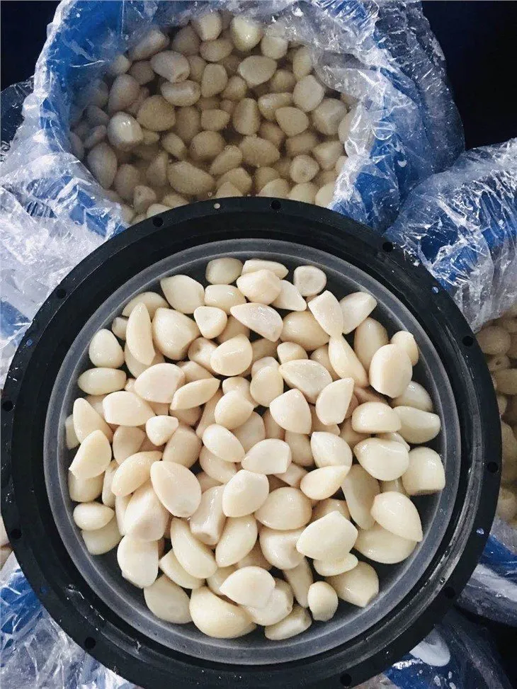 Salted white garlic in drums