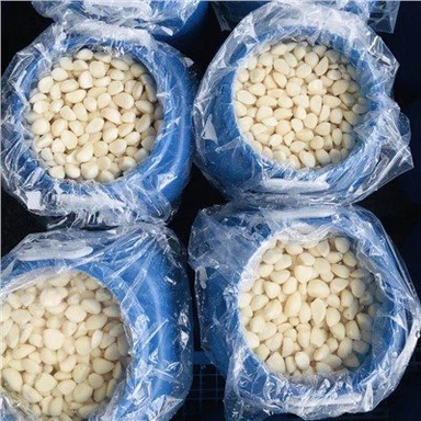 Čerstvý olúpaný cesnak v slanom náleve v bubnoch