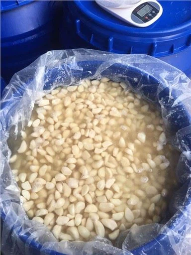 Lúpaný biely cesnak v slanom náleve v sudoch