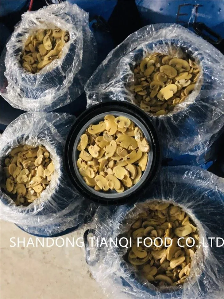 Big drum packing white mushroom in salted water