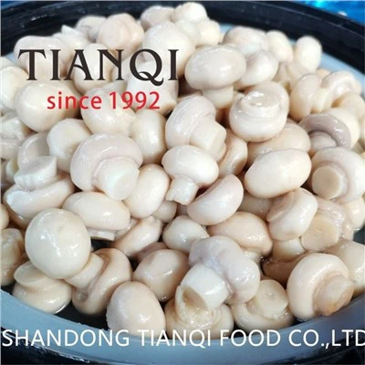 Čerstvé konzervované biele huby v bubnoch