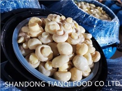 Vysokokvalitné konzervované huby na trhu SO2 do Brazílie