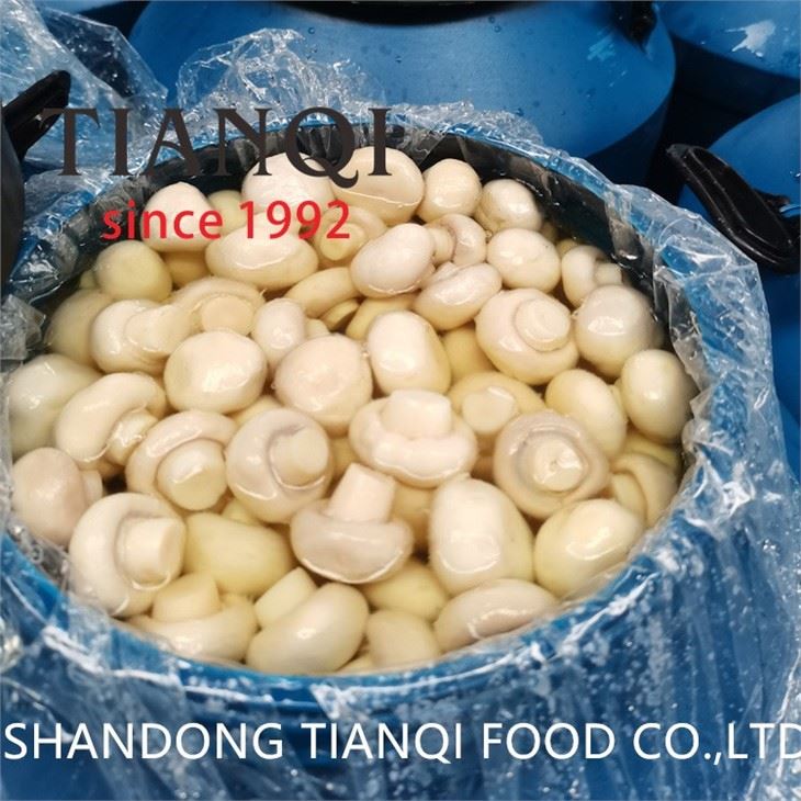 Sliced Champignon Mushrooms in 50kgs Drums